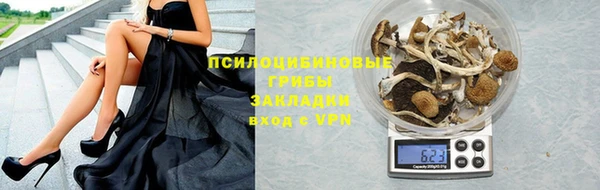 ПСИЛОЦИБИНОВЫЕ ГРИБЫ Бронницы