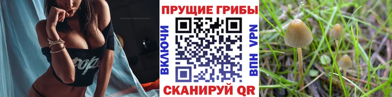 Псилоцибиновые грибы мухоморы  нарко площадка формула  Касимов 